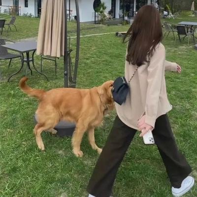 命运小说家