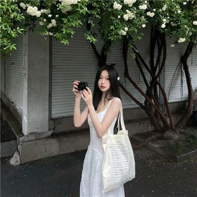 完美帝国